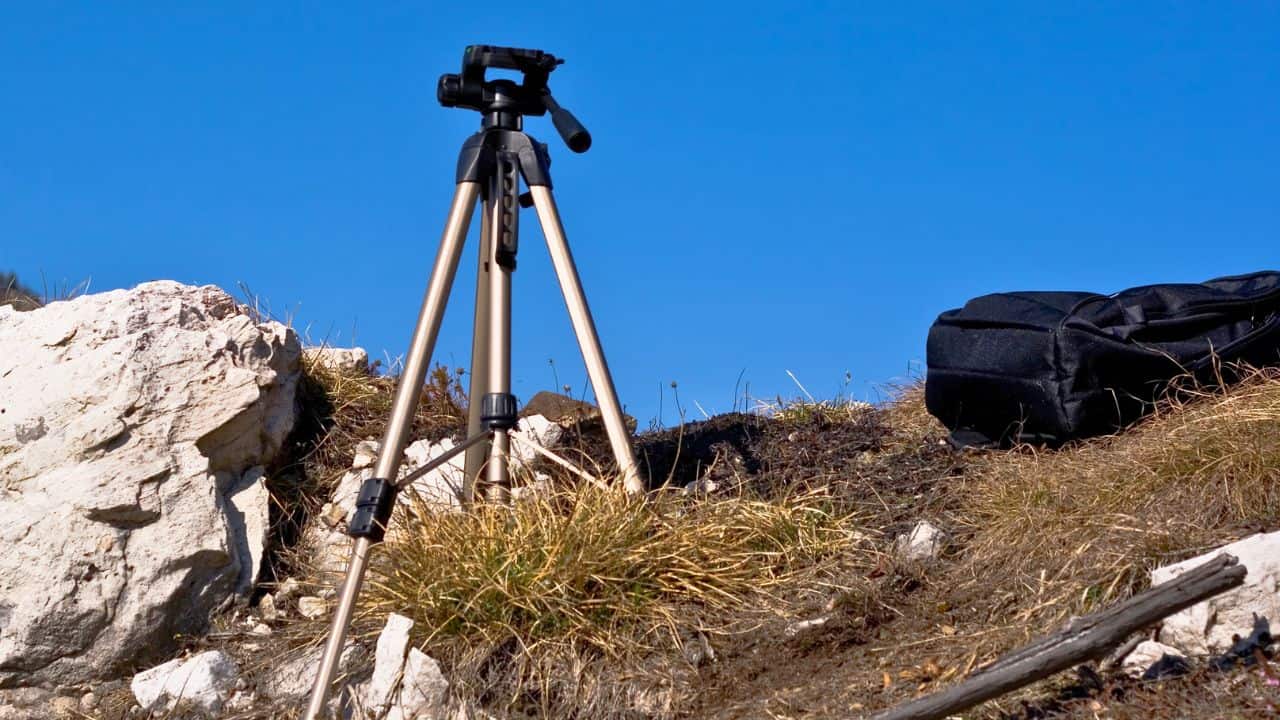 Best Tripods For Bird Photography