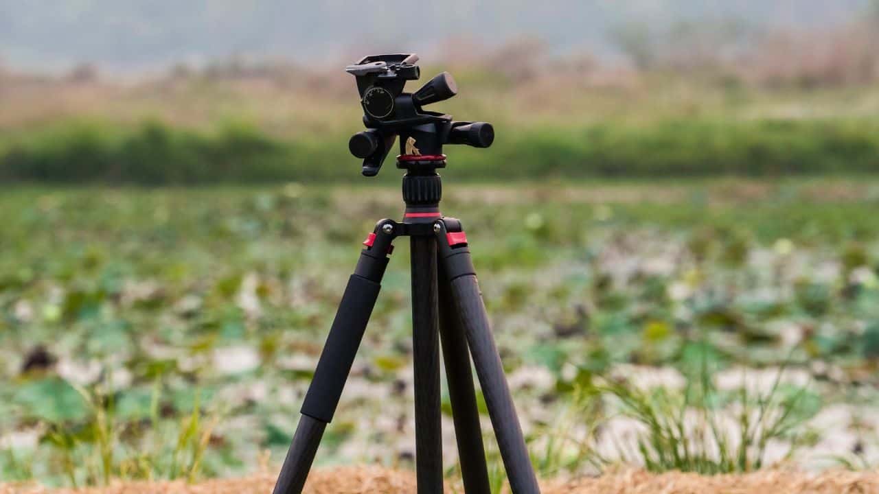 how much weight can a tripod hold
